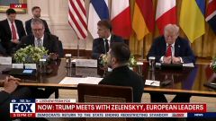 2025-08-18 at 8.29.14.jpeg